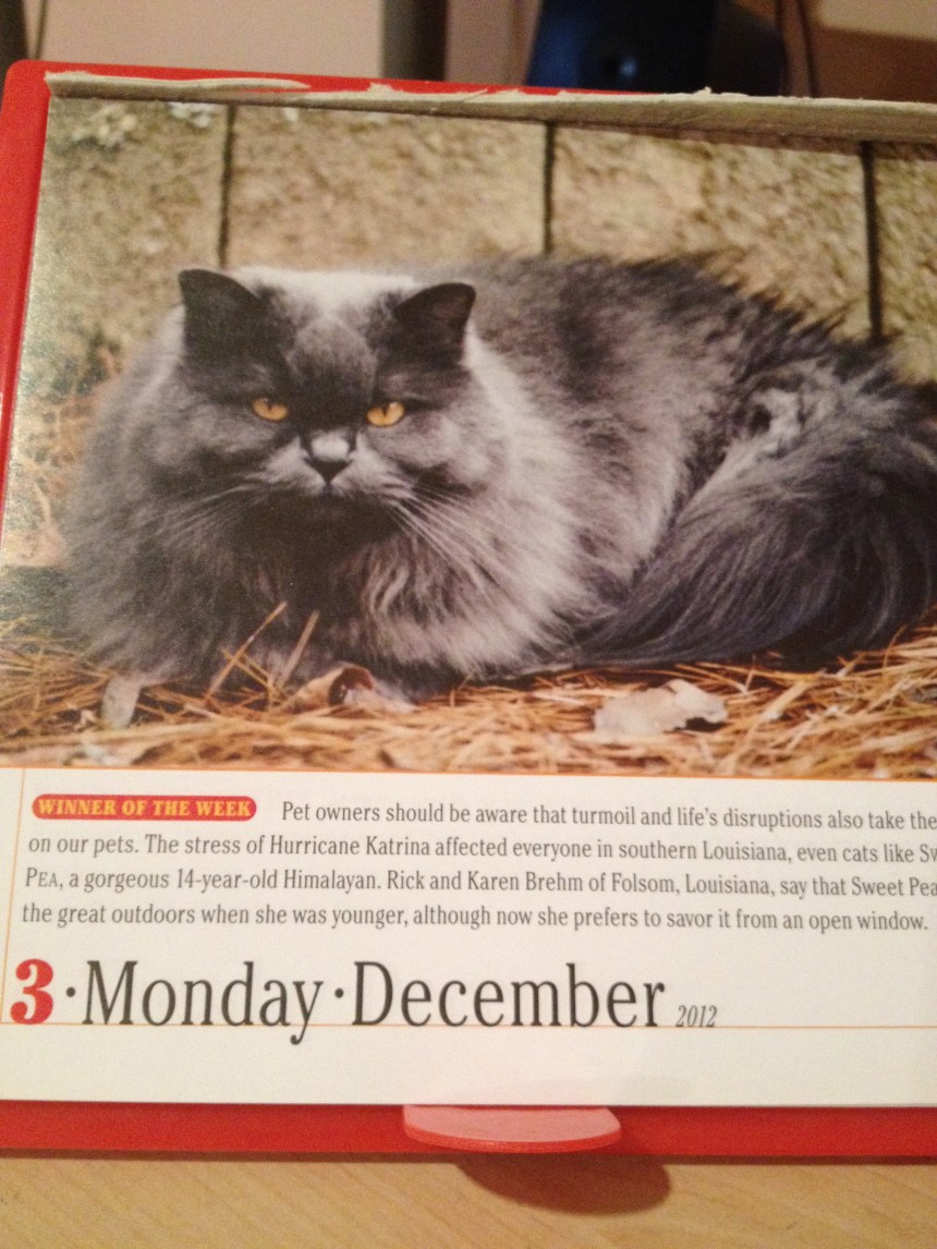 Foreshadowing. This is what I looked like on my actual birthday