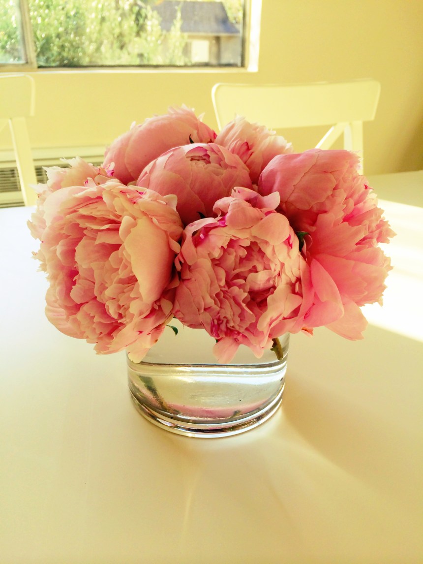 The best season of them all