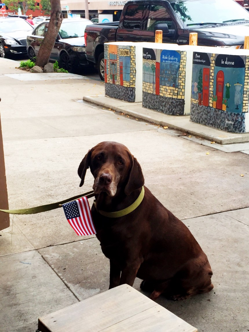 Exactly how I felt on the 4th after La Jolla banishment.