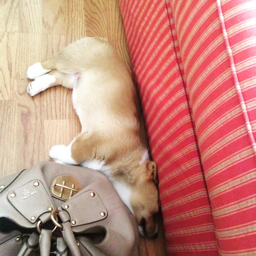 My feelings exactly after this weekend. 