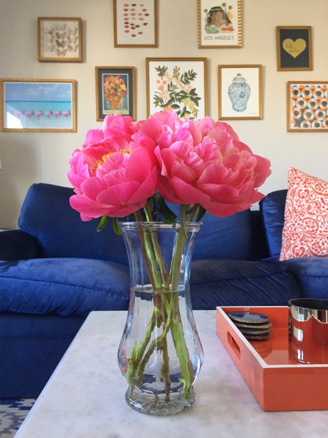 8d5489a1-27df-4404-9ccc-e24511f2e1c5