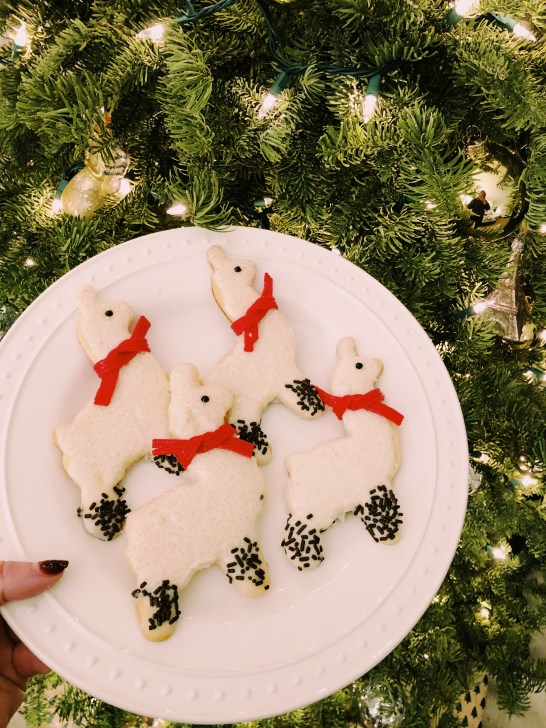 Processed with VSCO with fs1 preset