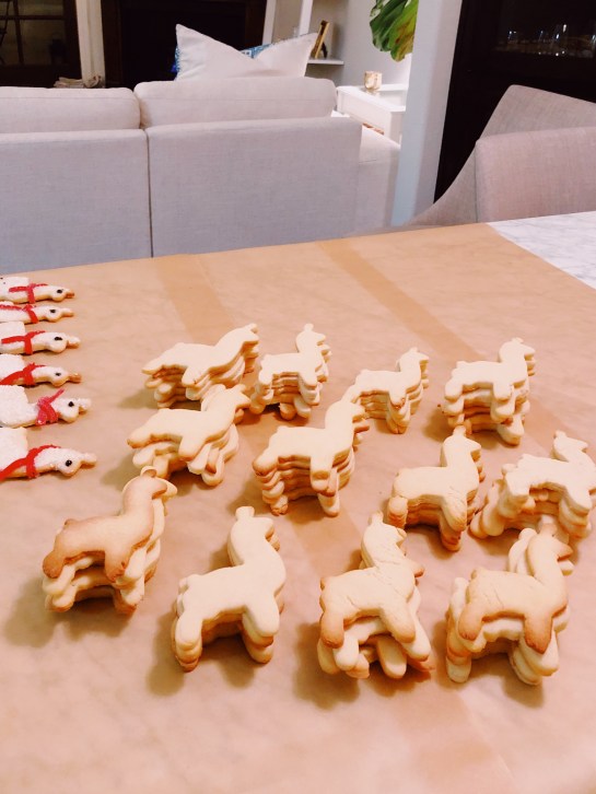 Processed with VSCO with au5 preset