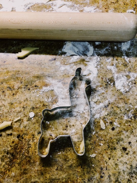 Processed with VSCO with fp4 preset