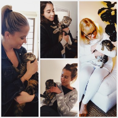 Processed with VSCO with av4 preset