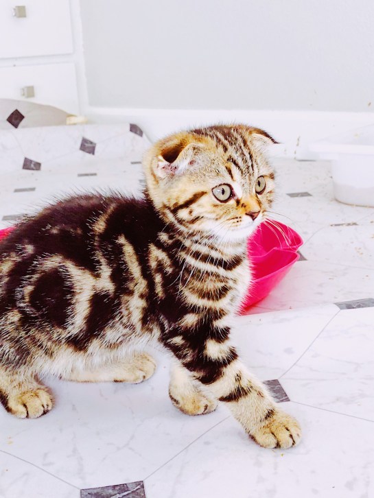 Processed with VSCO with au1 preset