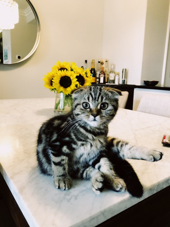 Processed with VSCO with kp1 preset