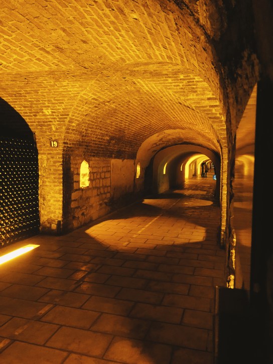 Processed with VSCO with fp8 preset