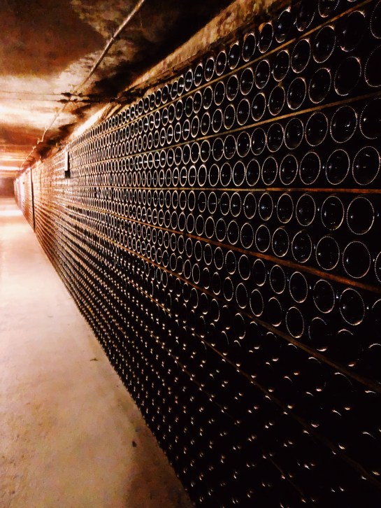 Processed with VSCO with au5 preset