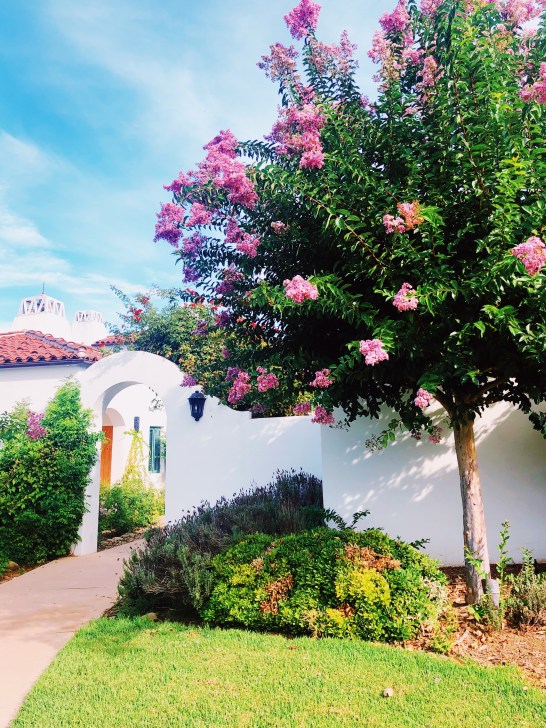 Processed with VSCO with au5 preset