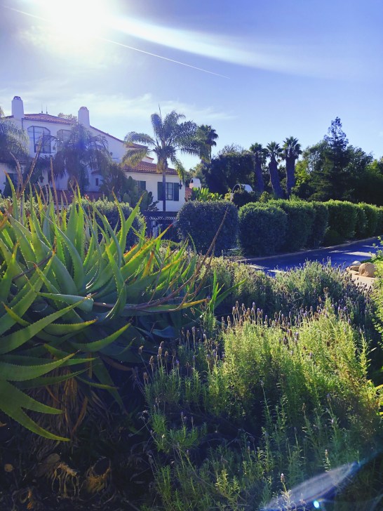 Processed with VSCO with fr4 preset